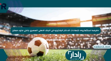 «فرصة استثمارية» شهادات الادخار البلاتينية في البنك الأهلي المصري بأعلى عائد ممكن